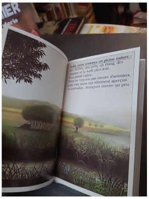Découvre les secrets de la nature : un livre de poche illustré pour les jeunes lecteurs par Laura Bour