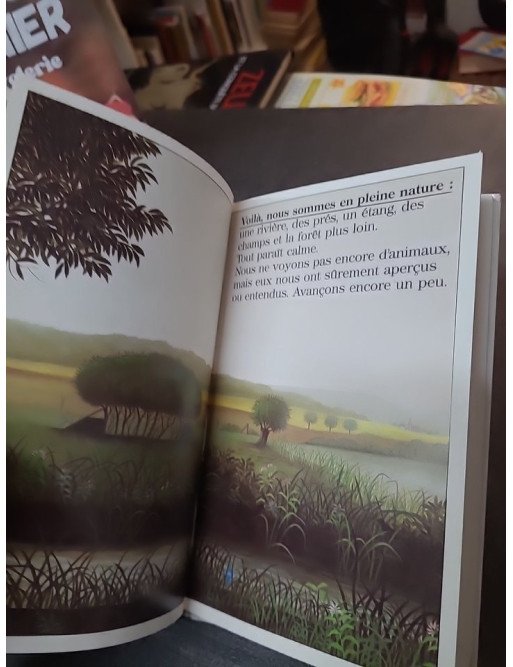 Découvre les secrets de la nature : un livre de poche illustré pour les jeunes lecteurs par Laura Bour