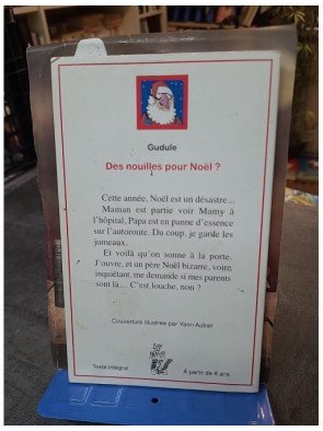 Des nouilles pour Noël ? suivi de Un nouvel an d'enfer - Deux récits pour les fêtes par Gudule