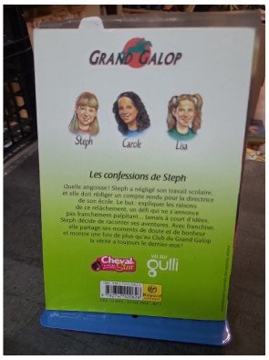 Les confessions de Steph (Grand Galop, Tome 85) - Roman jeunesse par Bonnie Bryant
