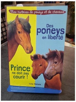 Des poneys en liberté et Prince ne doit pas courir: 2 histoires pour les amoureux des animaux par Lucy Daniels