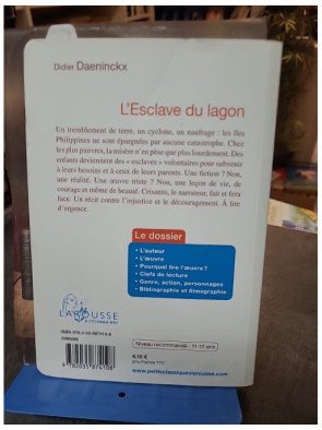 L'esclave du lagon : Roman jeunesse sur l'injustice aux Philippines par Didier Daeninckx