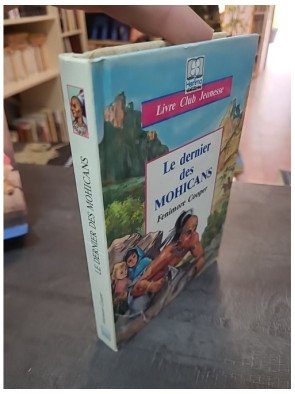 Le Dernier des Mohicans : adaptation jeunesse du roman de James Fenimore Cooper, illustrée par Pierre Couronne