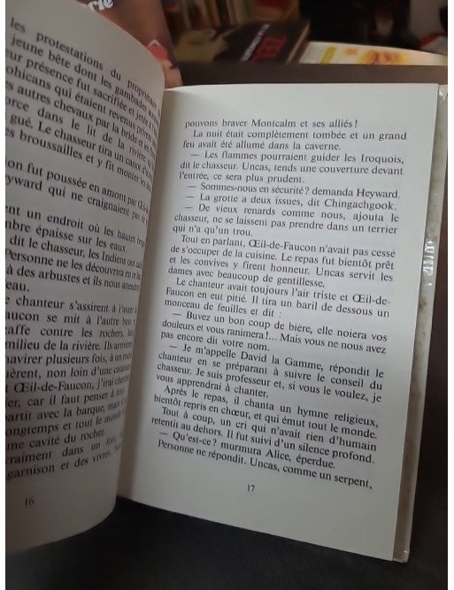 Le Dernier des Mohicans : adaptation jeunesse du roman de James Fenimore Cooper, illustrée par Pierre Couronne