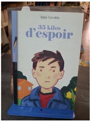 35 Kilos d'espoir : le roman jeunesse d'Anna Gavalda sur Grégoire, l'école et la passion du bricolage