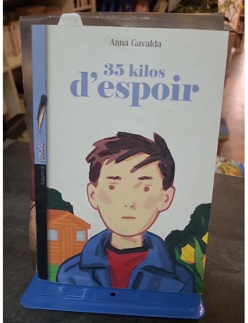 35 Kilos d'espoir : le roman jeunesse d'Anna Gavalda sur Grégoire, l'école et la passion du bricolage