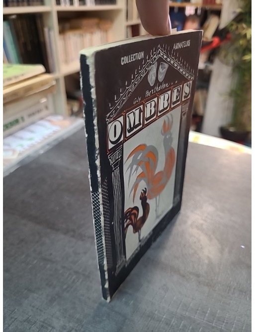 Ombres : Manuel d'exercices et d'expériences sur l'ombre et la lumière (Collection Animateurs Fleurus 1962)