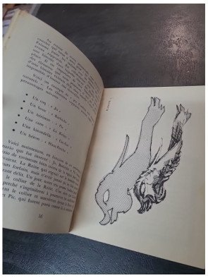 Ombres : Manuel d'exercices et d'expériences sur l'ombre et la lumière (Collection Animateurs Fleurus 1962)