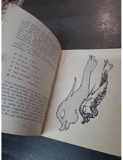 Ombres : Manuel d'exercices et d'expériences sur l'ombre et la lumière (Collection Animateurs Fleurus 1962)