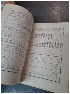 Les Choux : Guide complet pour choux pommés, choux-fleurs, choux de Bruxelles par André Leroy (Hachette 1943)