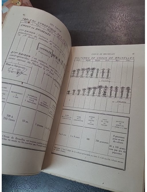 Les Choux : Guide complet pour choux pommés, choux-fleurs, choux de Bruxelles par André Leroy (Hachette 1943)