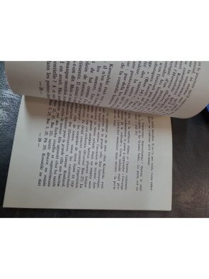 L'Intouchable domaine : Portrait du poète Roger Kowalski par Vincent Jenni (Caractères 1980)