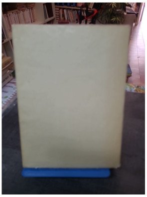 Marie Walewska : Le Grand Amour Caché de Napoléon Ier - Biographie historique par Octave Aubry