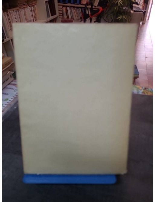 Marie Walewska : Le Grand Amour Caché de Napoléon Ier - Biographie historique par Octave Aubry