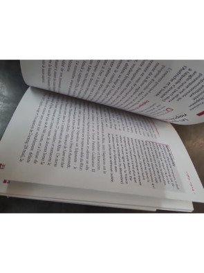 Petit Larousse de l'Histoire de France - Des origines à nos jours par Pierre Bezbakh