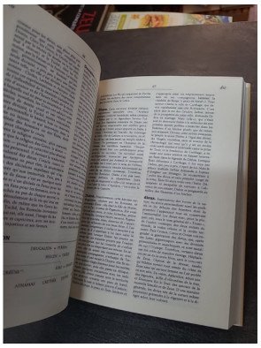 Dictionnaire de la mythologie grecque et romaine par Joël Schmidt - Larousse Thématique France Loisirs