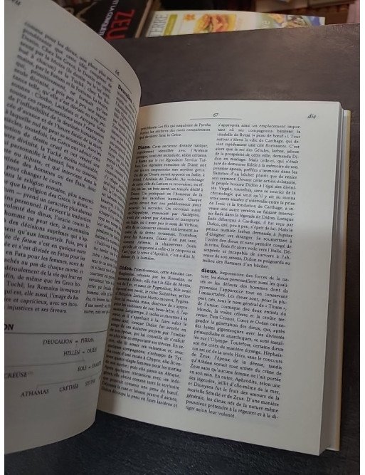 Dictionnaire de la mythologie grecque et romaine par Joël Schmidt - Larousse Thématique France Loisirs