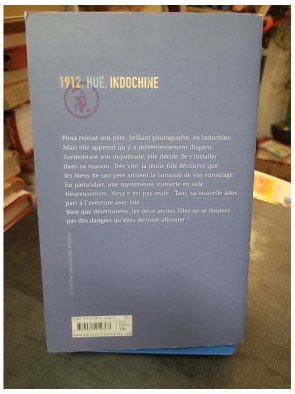 Le secret de la dame de Jade - Roman d'aventure en Indochine par Christel Mouchard