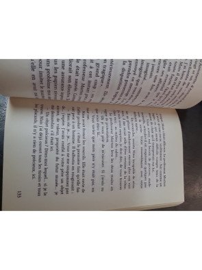 Le secret de la dame de Jade - Roman d'aventure en Indochine par Christel Mouchard