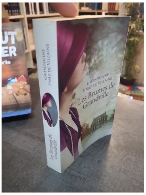 Les Brumes de Grandville - Roman Young Adult fantastique par Gwendoline Finaz De Vellaine