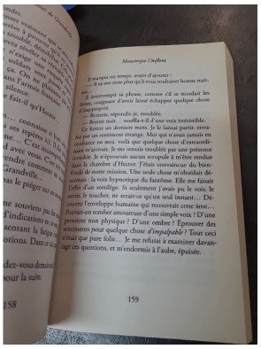 Les Brumes de Grandville - Roman Young Adult fantastique par Gwendoline Finaz De Vellaine