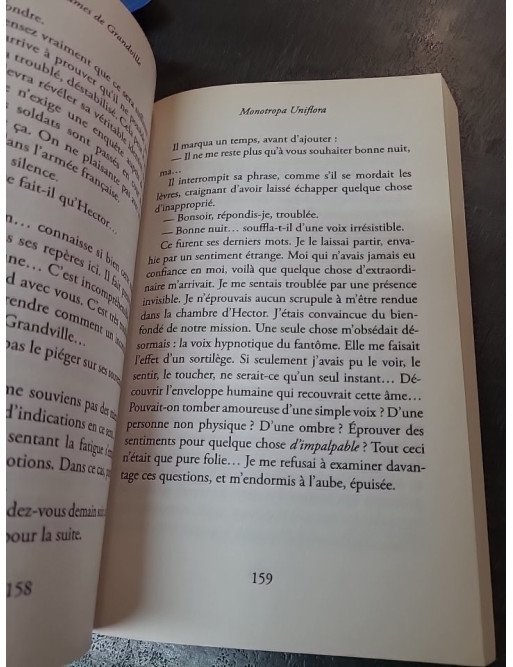 Les Brumes de Grandville - Roman Young Adult fantastique par Gwendoline Finaz De Vellaine