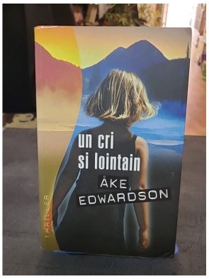 Un cri si lointain - Enquête du commissaire Erik Winter - Thriller scandinave d'Åke Edwardson