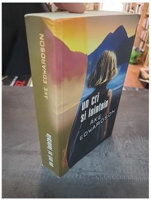 Un cri si lointain - Enquête du commissaire Erik Winter - Thriller scandinave d'Åke Edwardson