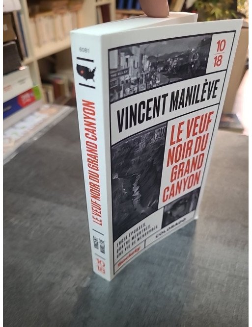 Le veuf noir du Grand Canyon : récit de true crime sur Robert Spangler par Vincent Manilève