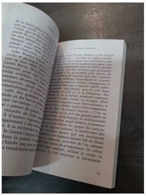 Le veuf noir du Grand Canyon : récit de true crime sur Robert Spangler par Vincent Manilève