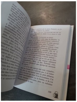 Le Club Des Cinq en Vacances - Tome 4 : l'enquête jeunesse d'Enid Blyton