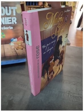 Malory School Tome 3 - Un Pur-Sang En Danger : le roman jeunesse d'Enid Blyton