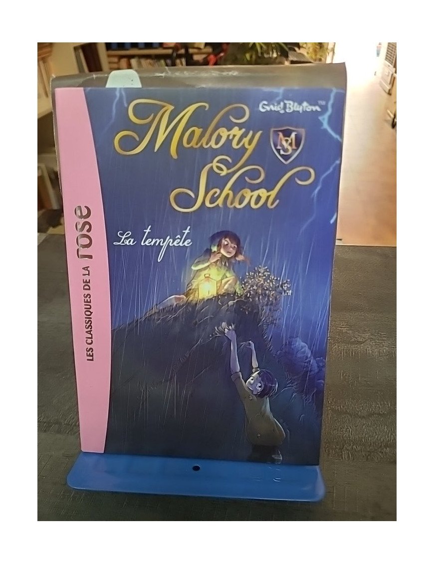 Malory School Tome 2 - La Tempête : Roman jeunesse d'Enid Blyton sur l'amitié et le mystère