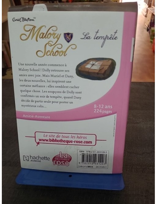 Malory School Tome 2 - La Tempête : Roman jeunesse d'Enid Blyton sur l'amitié et le mystère