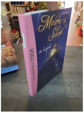 Malory School Tome 2 - La Tempête : Roman jeunesse d'Enid Blyton sur l'amitié et le mystère