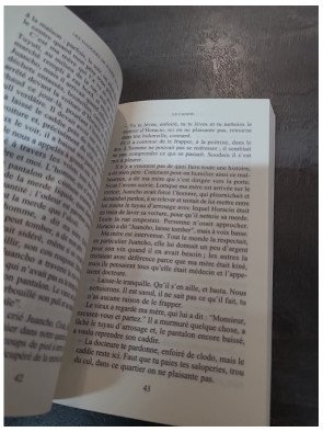 Les Dangers de fumer au lit : Recueil de nouvelles d'horreur fantastique argentin par Mariana Enriquez