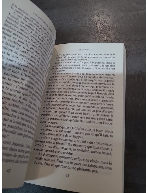 Les Dangers de fumer au lit : Recueil de nouvelles d'horreur fantastique argentin par Mariana Enriquez