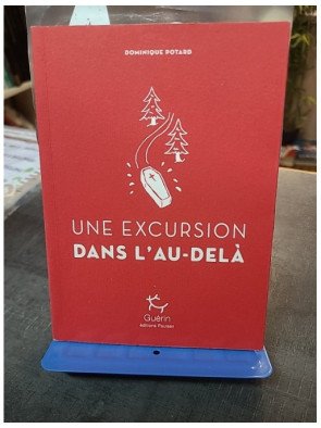 Une Excursion dans l'au-delà de Dominique Potard : Roman loufoque du Port de la mer de glace - Tome 7