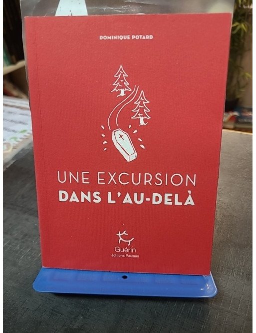 Une Excursion dans l'au-delà de Dominique Potard : Roman loufoque du Port de la mer de glace - Tome 7