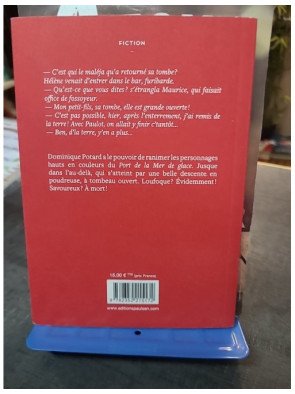 Une Excursion dans l'au-delà de Dominique Potard : Roman loufoque du Port de la mer de glace - Tome 7
