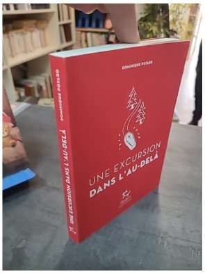 Une Excursion dans l'au-delà de Dominique Potard : Roman loufoque du Port de la mer de glace - Tome 7