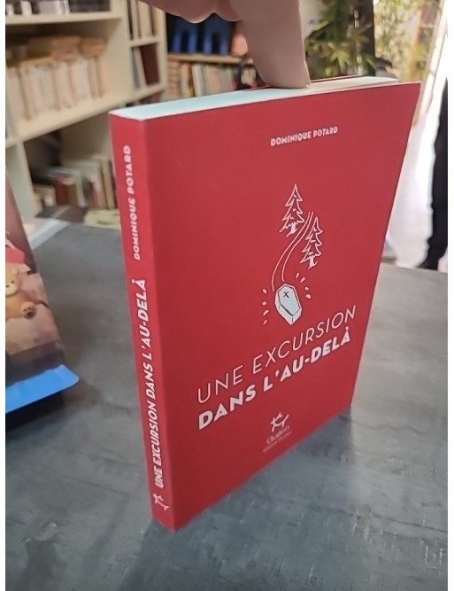 Une Excursion dans l'au-delà de Dominique Potard : Roman loufoque du Port de la mer de glace - Tome 7