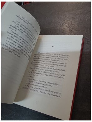 Une Excursion dans l'au-delà de Dominique Potard : Roman loufoque du Port de la mer de glace - Tome 7