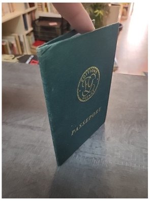 Passeport Louis la Guigne : L'aventure historique de Louis Ferchot, l'ex-poilu rebelle des années 20 par Giroud & Dethorey