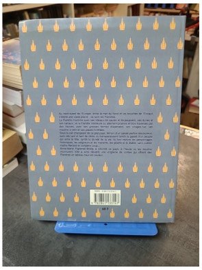 Contes traditionnels des Flandres : Une collection jeunesse pour découvrir le folklore par Anne-Marie Papierski-Brédy