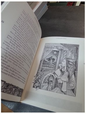 Contes traditionnels des Flandres : Une collection jeunesse pour découvrir le folklore par Anne-Marie Papierski-Brédy