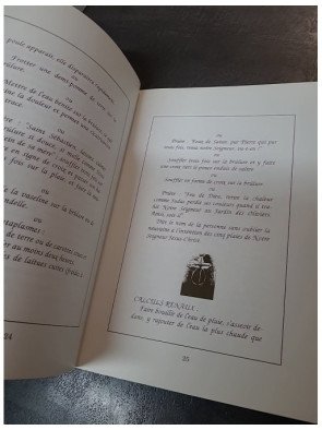 Guérir en Flandre - Genezen en aflezen : pratiques populaires pour éloigner maux et maladies par Bruno Degunst