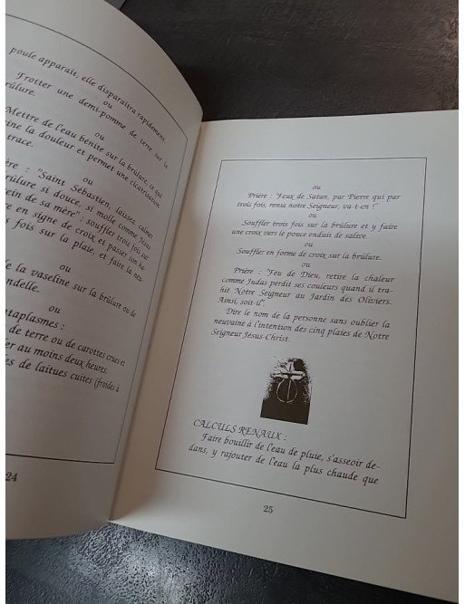 Guérir en Flandre - Genezen en aflezen : pratiques populaires pour éloigner maux et maladies par Bruno Degunst