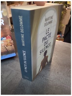 Le pacte du silence - Saga familiale, secrets et porcelainiers français par Martine Delomme