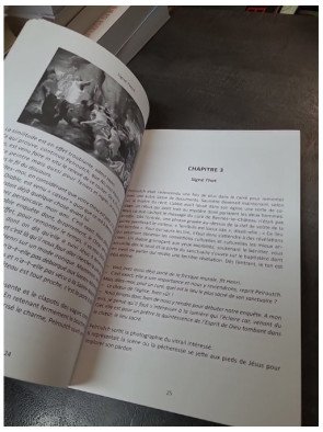 Signé Thot : Nouvelle Enquête sur le Mystère de Rennes-Le-Château (Pelroutch)